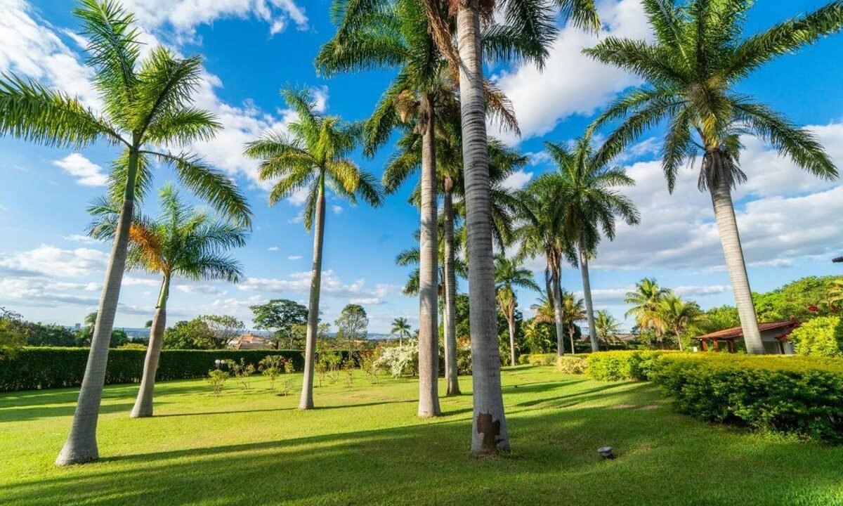 152002_8522af59-211b-4cb1-bebf-d399502800b5_2x