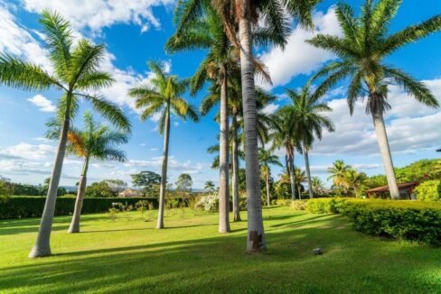 152002_8522af59-211b-4cb1-bebf-d399502800b5_2x