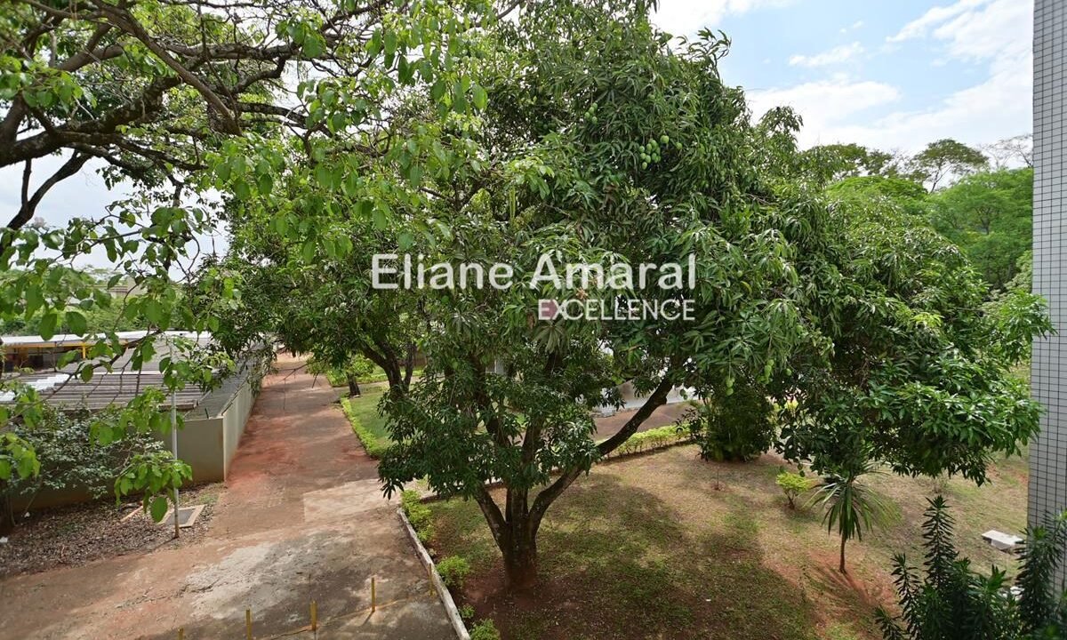 152306_27fcf96f-f566-4c03-af4f-5a05e6eba157_2x